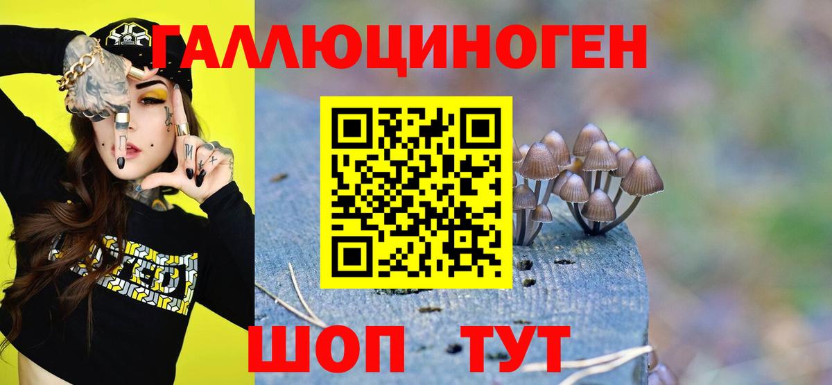 Галлюциногенные грибы Magic Shrooms Котовск
