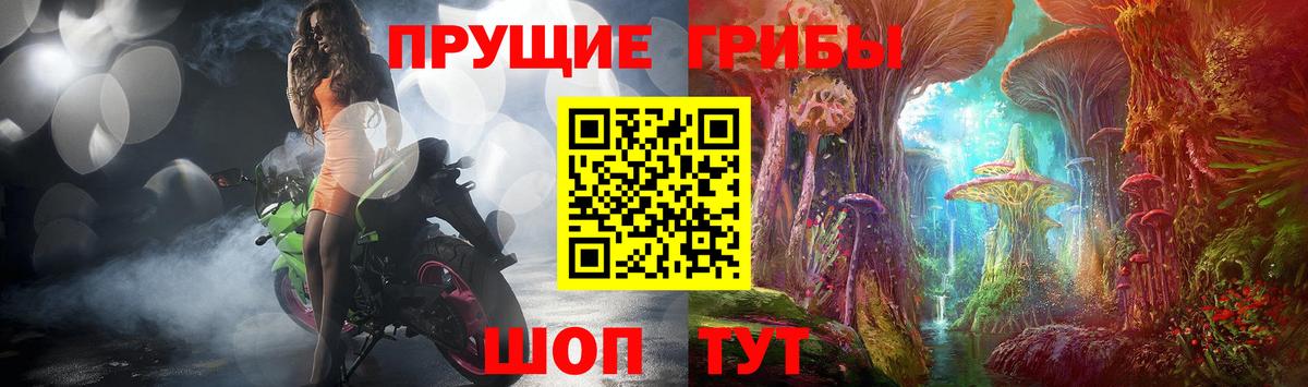 Псилоцибиновые грибы Psilocybe  Галлюциногенные грибы мухоморы  Котовск  Вход с VPN 